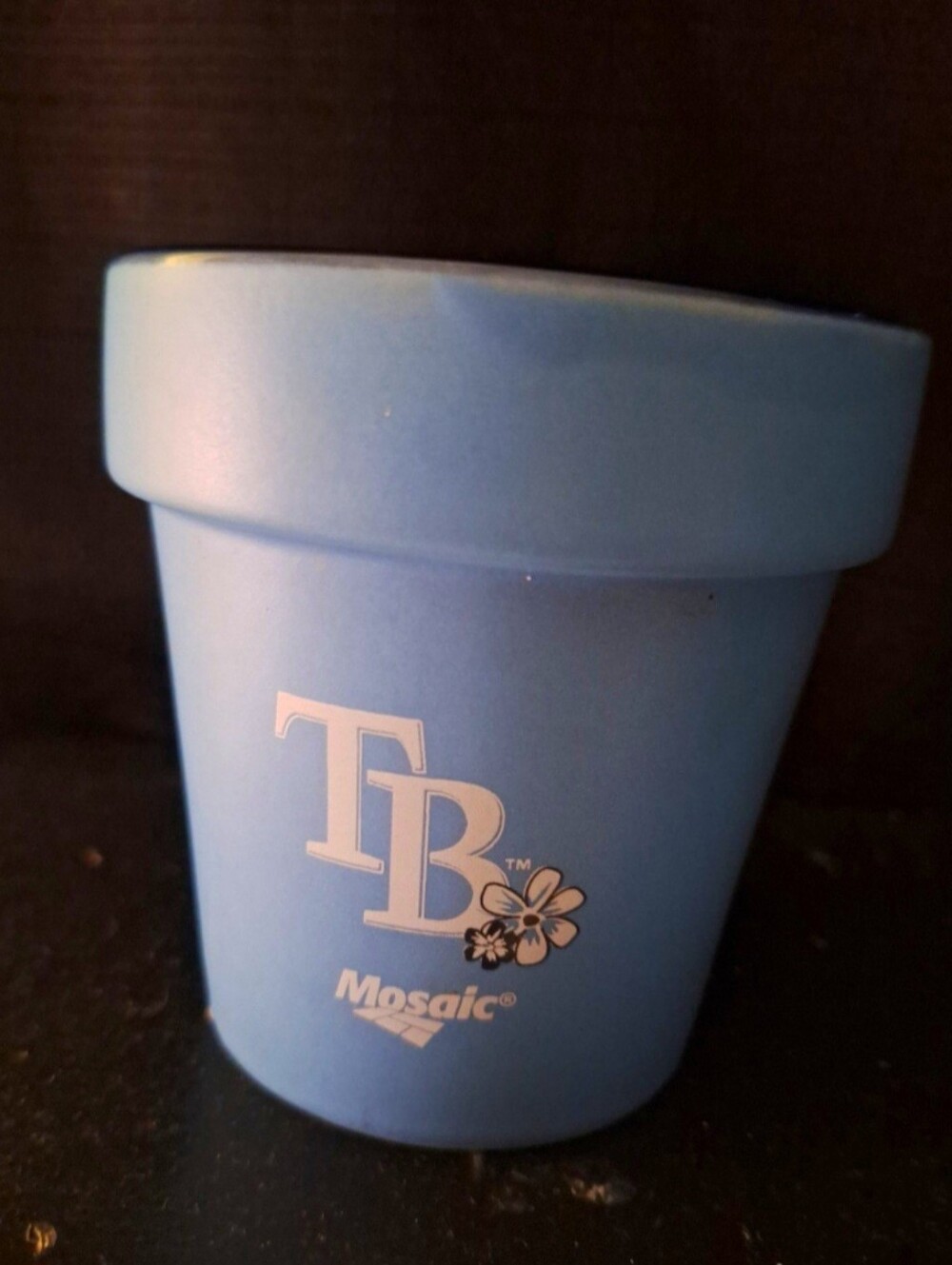 Tamoa Bay Rays Small Flower Pot/Accent Piece